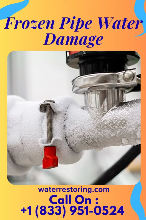 Frozen Pipe Water Damage in Winter Garden, FL