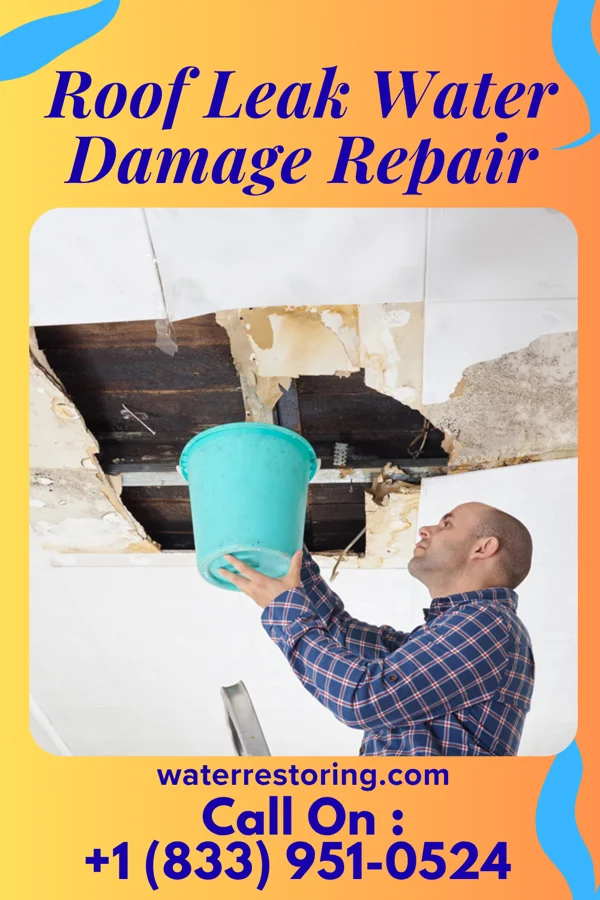 Roof Leak Water Damage Repair in Winter Garden, FL